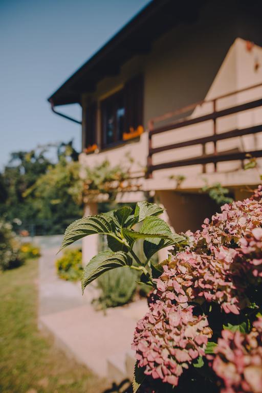 Holiday Home Castanea Praporcan Exterior foto